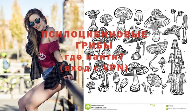 скорость Белокуриха