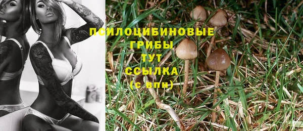 прущая мука Белоозёрский