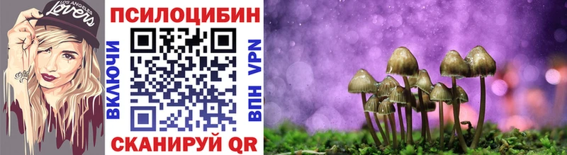Галлюциногенные грибы Magic Shrooms  Волгореченск 
