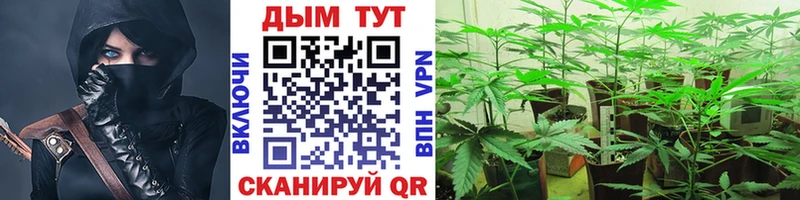 купить наркотик  Волгореченск  блэк спрут tor  Канабис планчик 